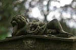 IMGP4673