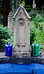 IMGP4698