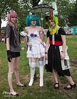 IMGP6338