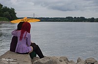IMGP6537