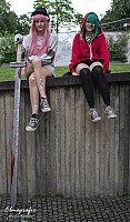 IMGP6577