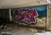 IMGP4163
