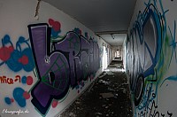 IMGP4210