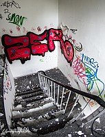IMGP4212