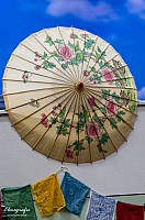 IMGP9970