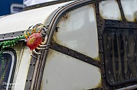 IMGP9977