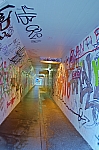 IMGP4764