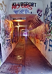 IMGP4768