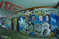 IMGP9763