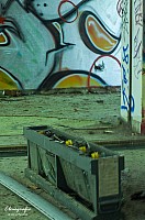 IMGP9841