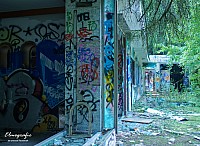 IMGP9842