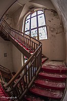 IMGP4256