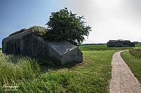 IMGP4899