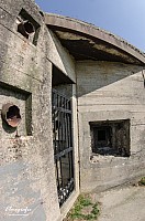 IMGP4914