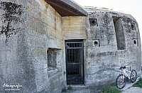 IMGP4915