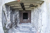 IMGP4919