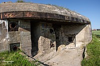 IMGP4925