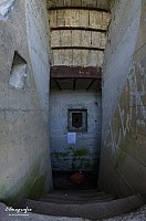IMGP4936