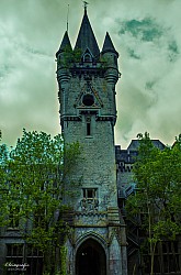 IMGP4524