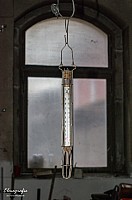 IMGP2687