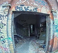 IMGP2505