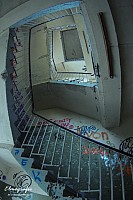 IMGP2506