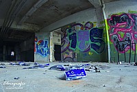 IMGP2507