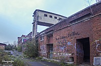 IMGP2527