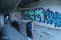IMGP2537