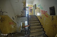 IMGP2544