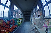 IMGP2547