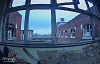 IMGP2548