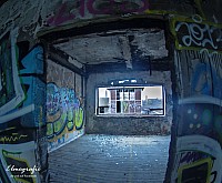 IMGP2549