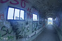 IMGP2556