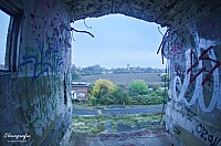 IMGP2558