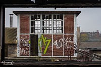 IMGP2574