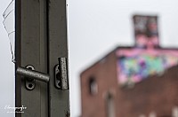 IMGP2576