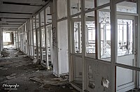 IMGP2585
