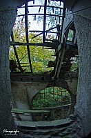 IMGP0367