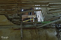IMGP0372