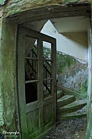 IMGP0388