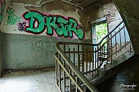 IMGP0406