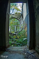 IMGP0413