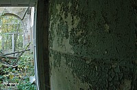 IMGP0414