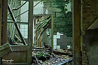 IMGP0419