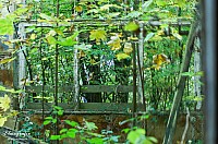 IMGP0421