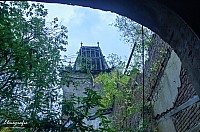 IMGP0427