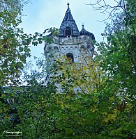IMGP0445