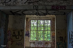 ELMO5115