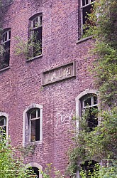 IMGP4436
